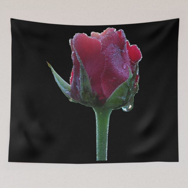 Item preview, Rose 4 designed and sold by DrTigrou.