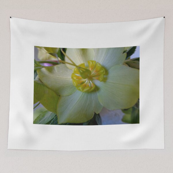 Item preview, Lovely creation of nature designed and sold by Ana Belaj.