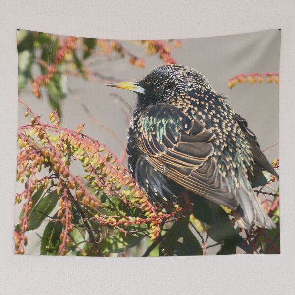 Item preview, Starling designed and sold by Enola Gay Wagner.