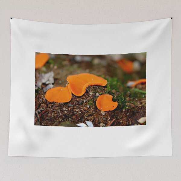 Item preview, Orange Peel Fungus designed and sold by Kathleen Daley.