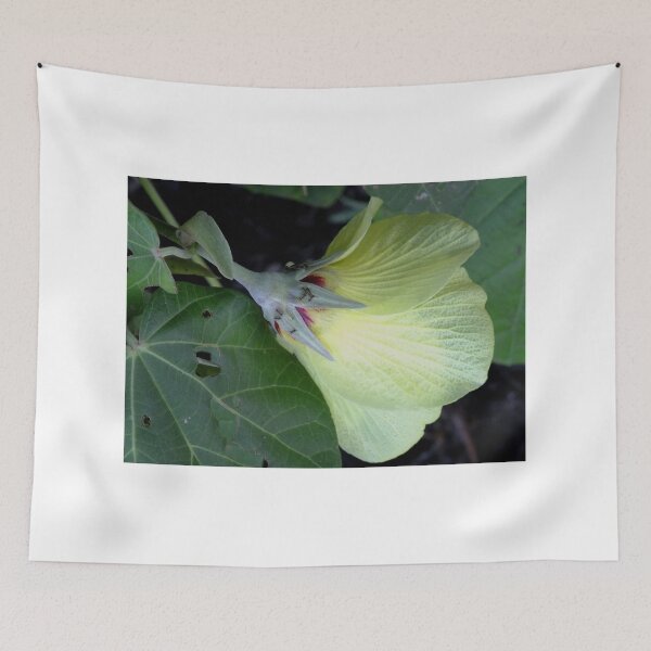 Item preview, Cotton Tree Wild Hibiscus designed and sold by sandysartstudio.