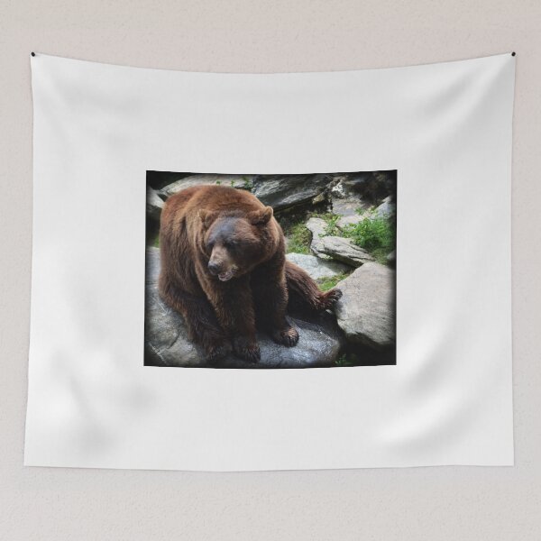 Item preview, Brown Bear on Rock designed and sold by WhiteOak Art Designs.