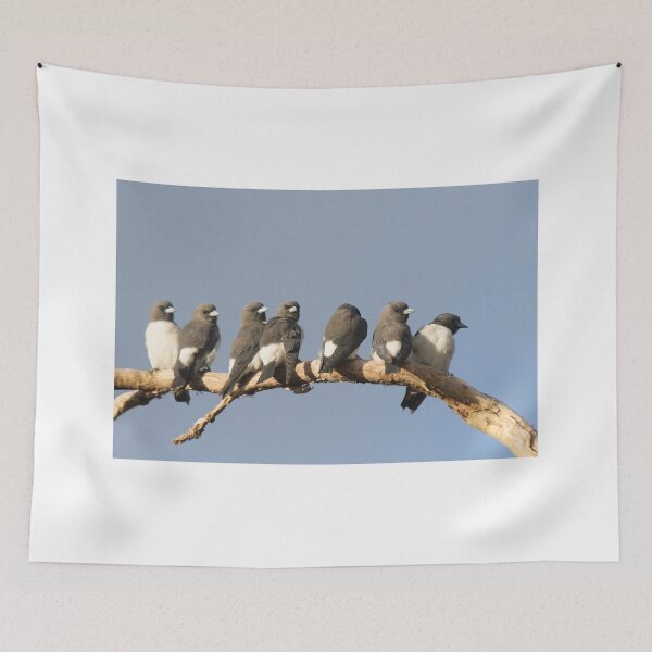 Item preview, Sunset Wood-swallows designed and sold by byronbackyard.