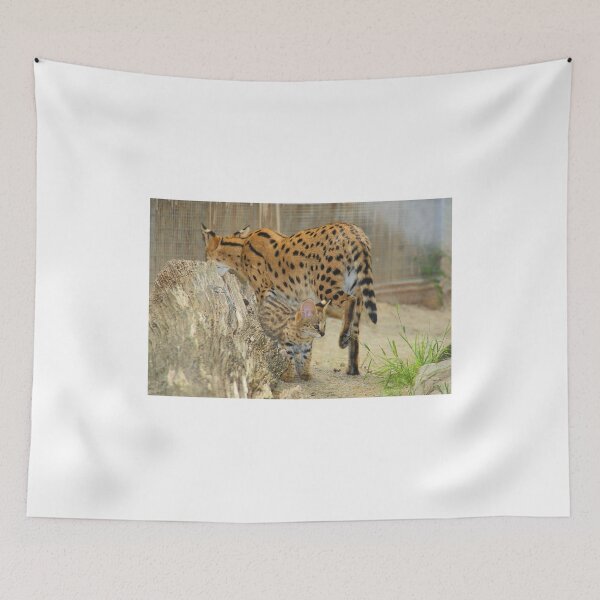 Item preview, Serval Cat & Male Kitten designed and sold by Carole-Anne.
