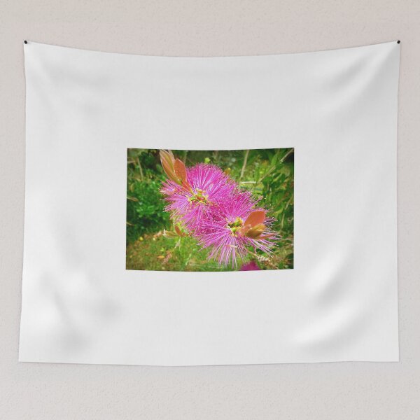 Item preview, *Judith Anne BottleBrush on the farm - Kirkstall, Vic.* designed and sold by EdsMum.