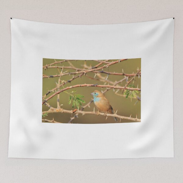 Item preview, Blue Waxbill - Exotic Colorful Wild Birds from Africa - Sharp Beauty designed and sold by LivingWild.