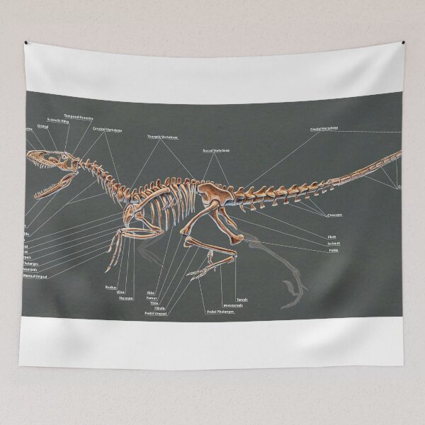 Item preview, Dakotaraptor Skeleton Study designed and sold by Thedragonofdoom.