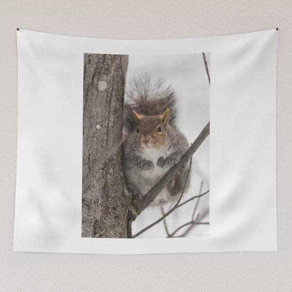Item preview, Large Grey Squirrel in a tree designed and sold by Josef Pittner.