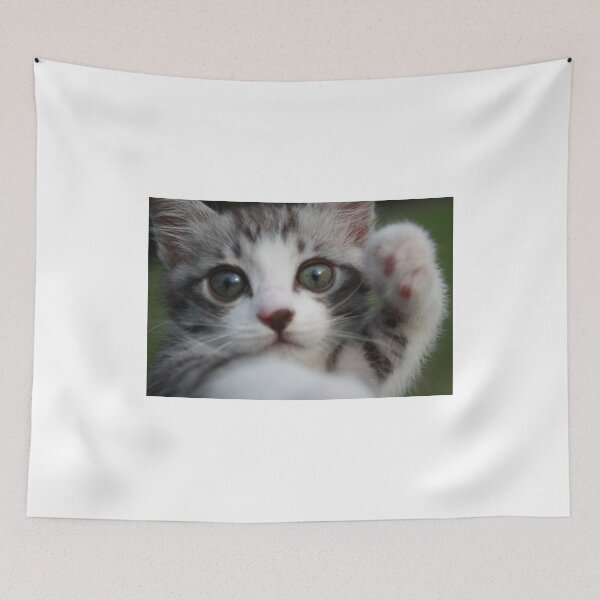 Item preview, kitten designed and sold by NYANKICHILABO.
