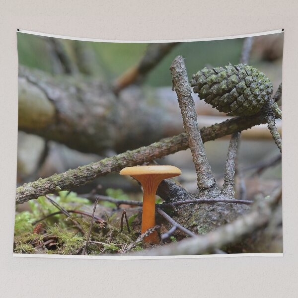 Artikelvorschau, Falscher Pfifferling [Hygrophoropsis aurantiaca] entworfen und verkauft von relayer51.