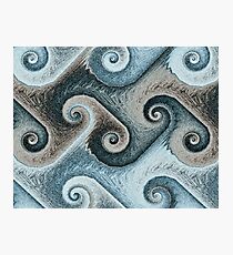 Seahorses Photographic Print