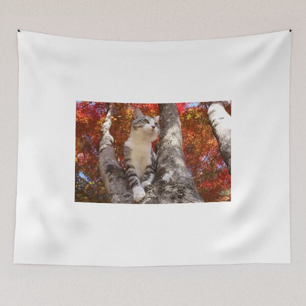 Item preview, Cat who came to watch the autumn leaves designed and sold by NYANKICHILABO.