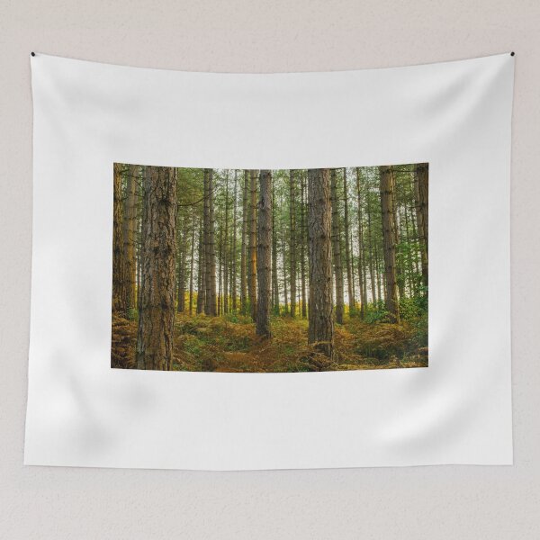 Item preview, Bedgebury National Park designed and sold by spcphotography.