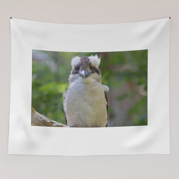 Item preview, Look At Me designed and sold by byronbackyard.