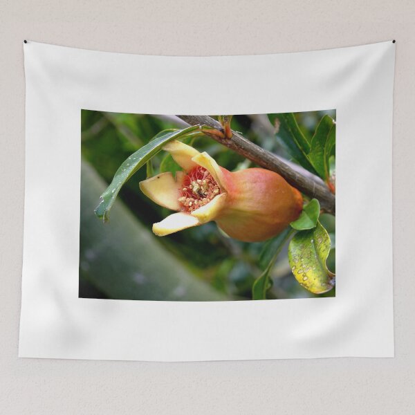Item preview, Pomegranate flower designed and sold by sandysartstudio.