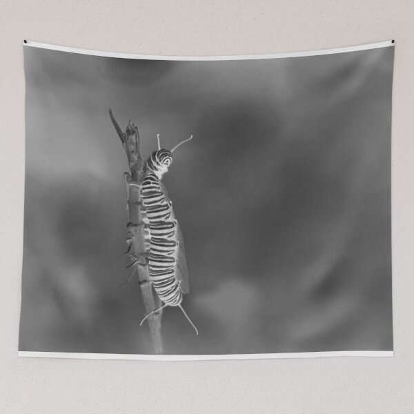 Item preview, Hello! designed and sold by Bill Wetmore.