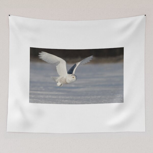 Item preview, Snowy Owl flyby designed and sold by James Cumming.