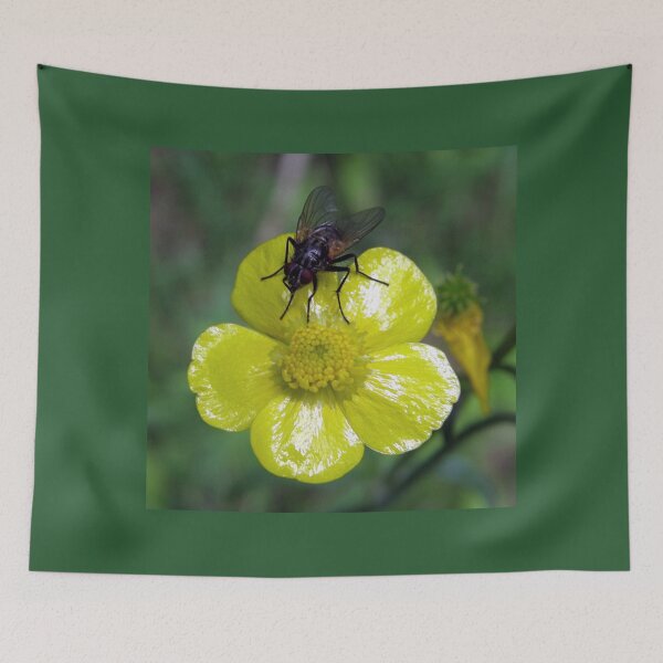 Item preview, Fly On Buttercup designed and sold by Len Bomba.