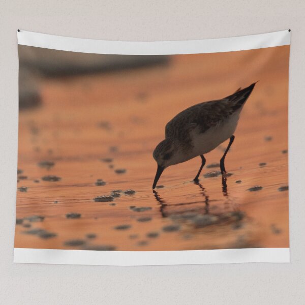 Item preview, Sandpiper Silhouette designed and sold by WorldDesign.