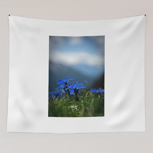 Item preview, flowers designed and sold by paolo amiotti.