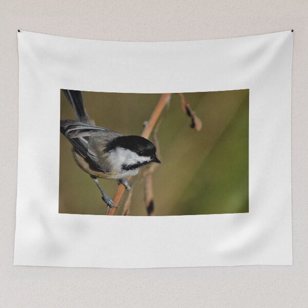 Item preview, Cheeky by Design! designed and sold by Kathleen Daley.