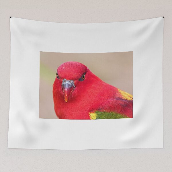 Item preview, Australian King Parrot  designed and sold by bidkev1.