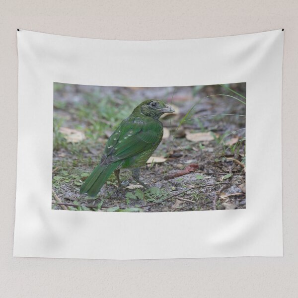 Item preview, Bowerbird designed and sold by byronbackyard.