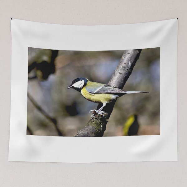 Item preview, Parus major designed and sold by MarekM.
