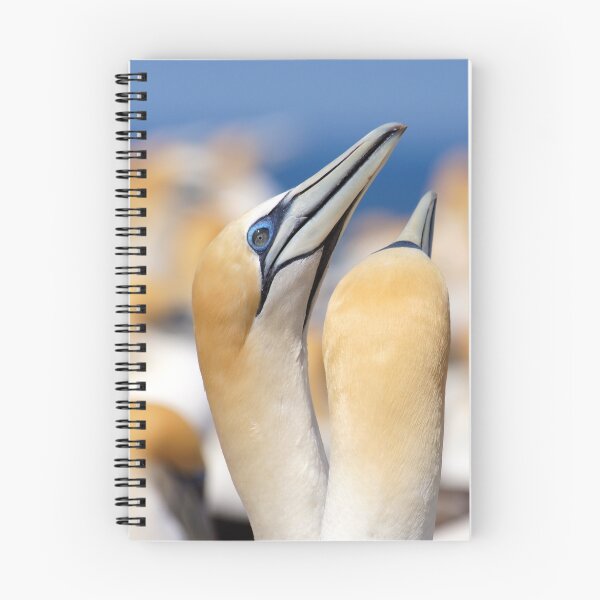 Item preview, gannet pair designed and sold by Brenda Anderson.