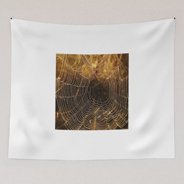Item preview, Spider web designed and sold by MPBaldwin.