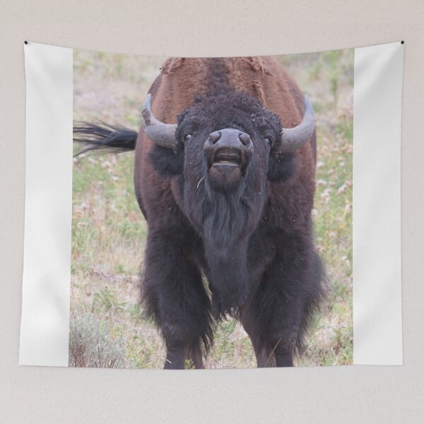 Item preview, Upset Bull Bison designed and sold by WorldDesign.
