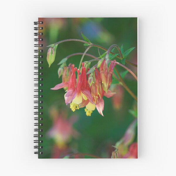 Item preview, "Native Columbine" designed and sold by RCNaturephotos.
