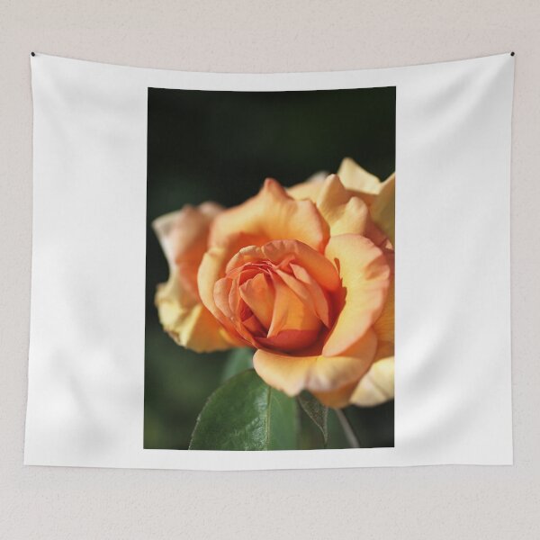 Item preview, Blushing Orange Rose designed and sold by Joy Watson - Natural Light Photography .