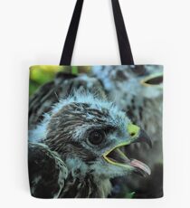 Buteo buteo - Common Buzzard chicks Tote Bag