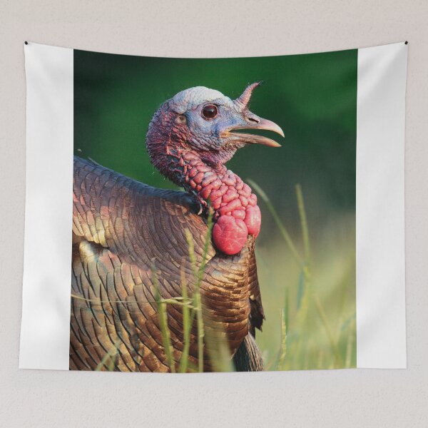 Item preview, Tom designed and sold by WorldDesign.