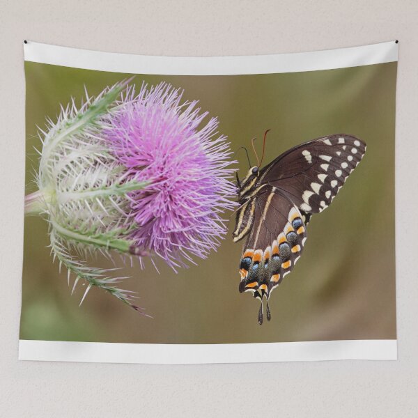 Item preview, Butterfly & Thistle Flower designed and sold by WorldDesign.