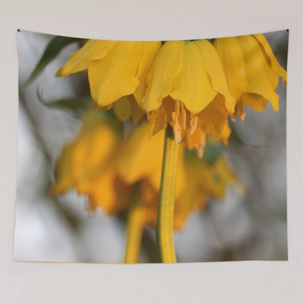Item preview, Yellow Kaiser's crown designed and sold by cuprum.