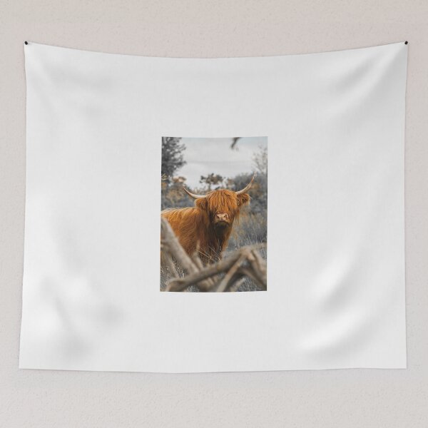 Item preview, Scottish Highland Cow designed and sold by LesHogganPhotos.