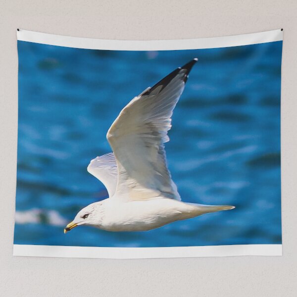 Item preview, Gull Flying designed and sold by ADM  Photography.