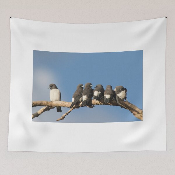 Item preview, Sunset Chatter  designed and sold by byronbackyard.