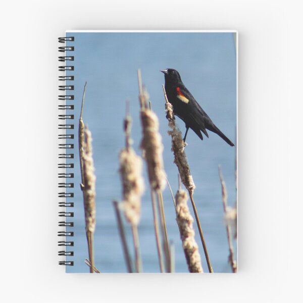 Item preview, Pájaro negro de alas rojas designed and sold by ValueEveryThing.