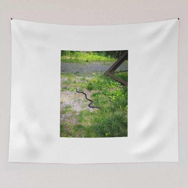 Item preview, Looking For A Nosh designed and sold by Paul Lubaczewski.