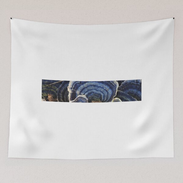Item preview, Bracket fungus  designed and sold by StudioCorvid.