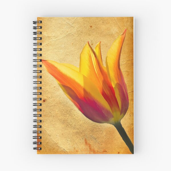 Item preview, Tulip  designed and sold by JuliaWatkins.