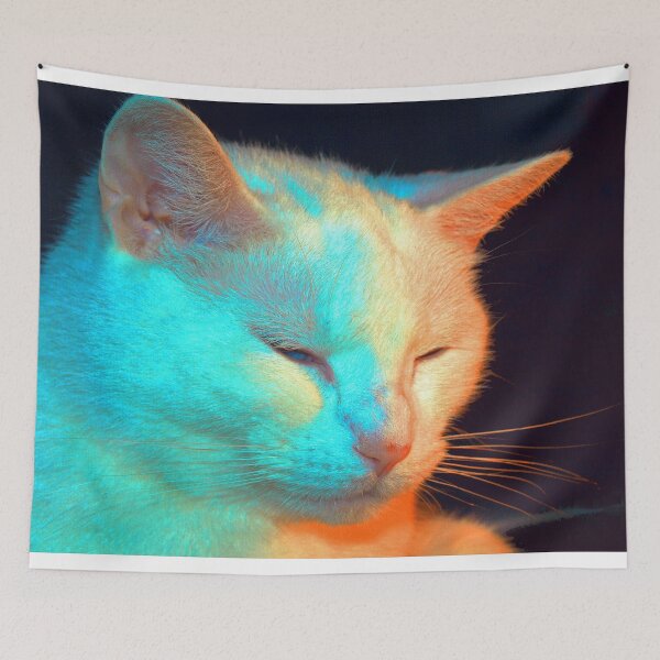 Item preview, Not to worry in HD designed and sold by B. Randi Bailey.