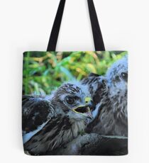 Buteo buteo - Common Buzzard Chicks 2 Tote Bag