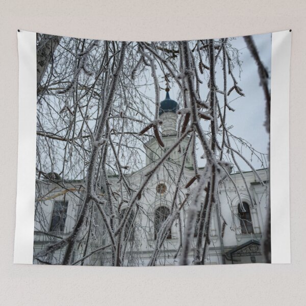 Aperçu de l'œuvre Frozen birch tree créée et vendue par Mikhail Zhirnov.