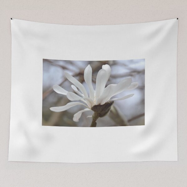 Item preview, Creamy Magnolia flower......Cornwall UK designed and sold by lynn carter.