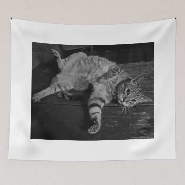 Item preview, It's a Trap! designed and sold by edwardiangirl.