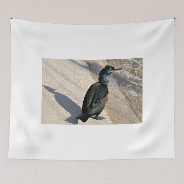 Item preview, Cormorant at Padstow Cornwall UK designed and sold by lynn carter.